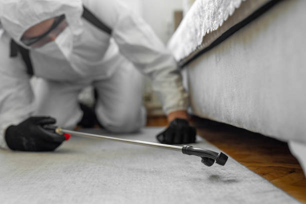 Professional Bed Bug Control technician working in Yarrow Point, WA